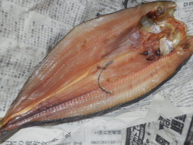 丸本本間水産 丸果卸センターさっぽろ朝市店的实拍高清图