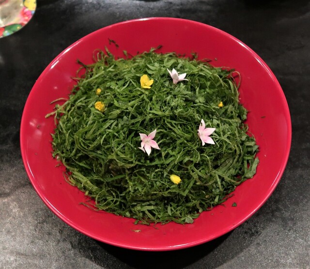 Bubblegum.的实拍高清图