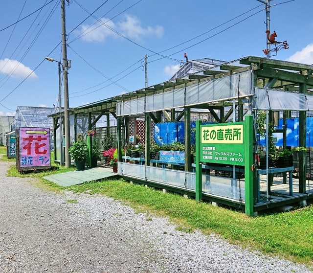 サックルズファーム的实拍高清图