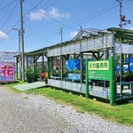 サックルズファーム的实拍图