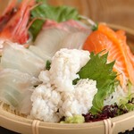 recommendations for サカナトニック BACU