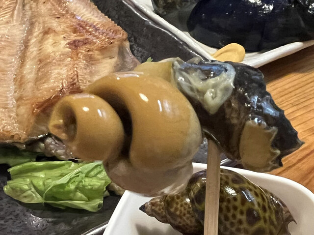 タカマル鮮魚店 4号店的實拍高清圖