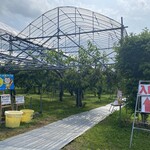 さくらんぼ山観光農園的實拍圖