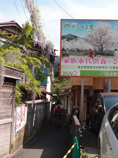 天益的实拍高清图