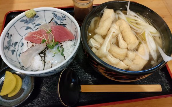 琴櫻的實拍高清圖