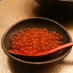 六雁的實拍圖