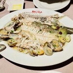 recommendations for ジリオーラ