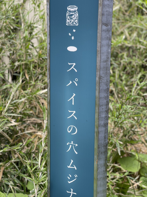 スパイスの穴ムジナ的实拍高清图