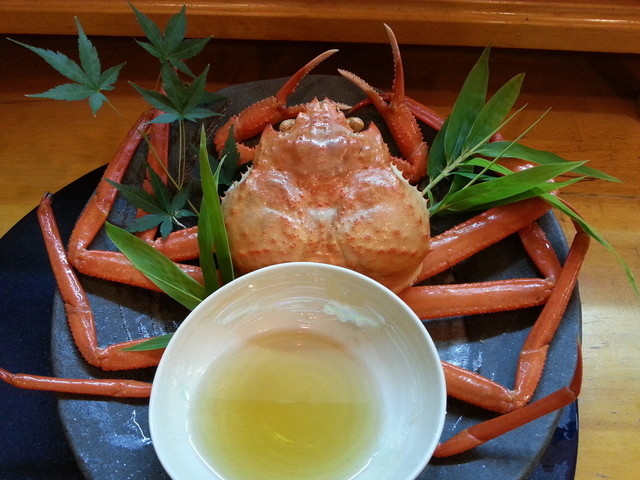 創作料理 遊食庵的實拍高清圖