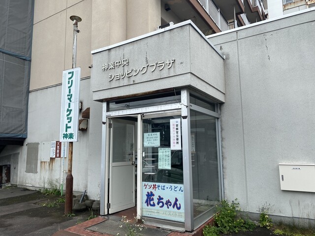 花ちゃん的实拍高清图