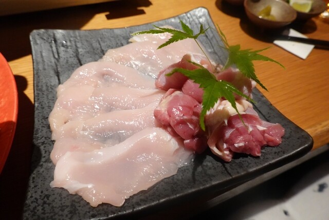 recommendations image for 鳥歐