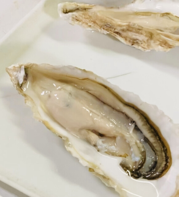 池田商店的實拍高清圖