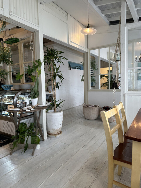 recommendations image for BeachHouseStyleCafe sunflower