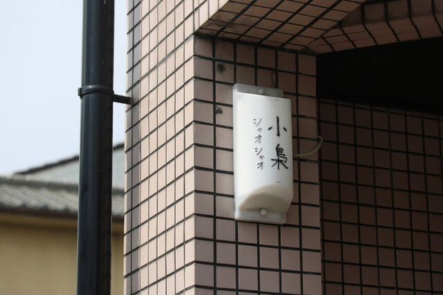 小梟的实拍高清图