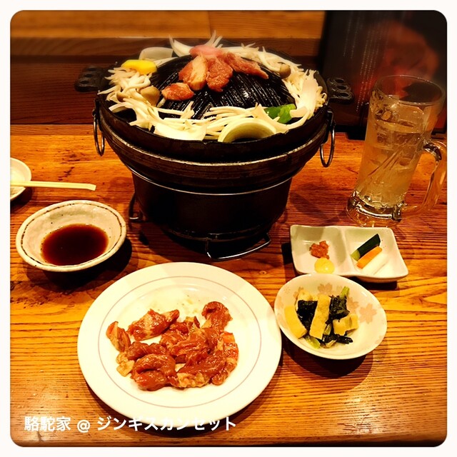 駱駝家的實拍高清圖