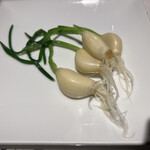 recommendations for ジンギスカン 蝦夷-EMISHI-