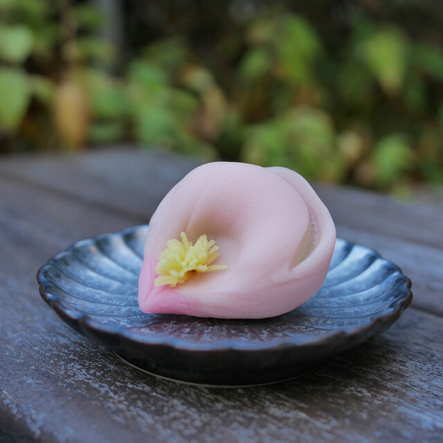 recommendations image for 赤坂青野 本店