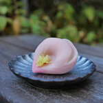 recommendations for 赤坂青野 本店
