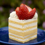 recommendations for RIVA chocolatier