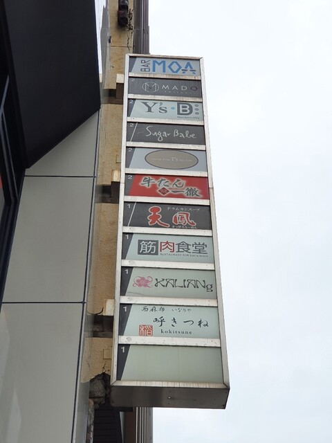呼きつね的实拍高清图