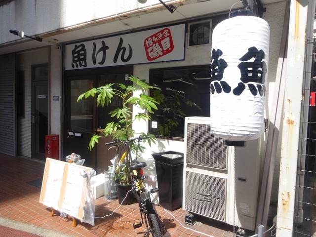 魚けん的實拍高清圖