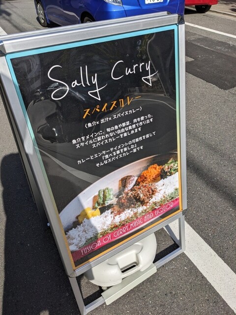 recommendations image for Sally Curry