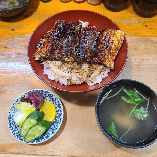 うな武的实拍高清图