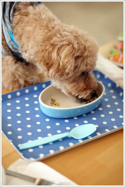 シアン ア ラ モード的實拍高清圖