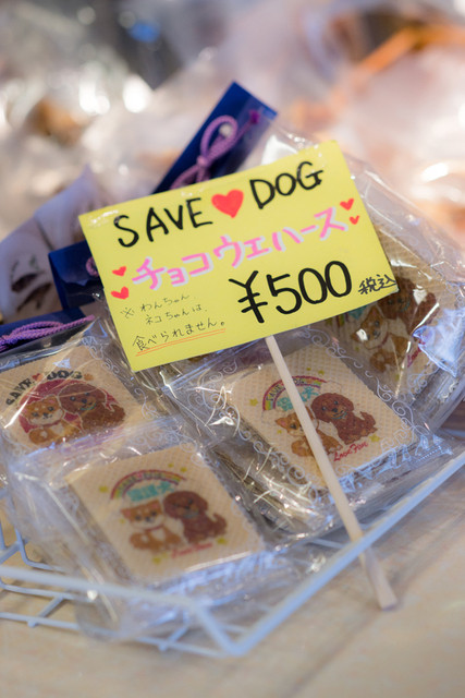 recommendations image for 保護犬＆保護猫カフェ 寺田町店