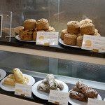 カプセルモンスター的实拍图