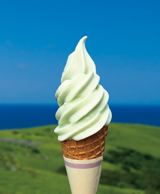 島の人 礼文島本店的實拍高清圖