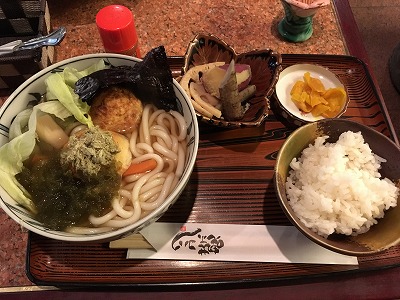 recommendations for コハク