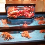 かに道楽 江坂店的實拍圖