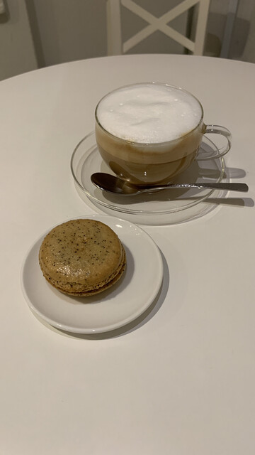 recommendations image for papillon