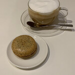 recommendations for papillon