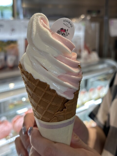 recommendations image for ICHIBIKO 北海道ボールパークFビレッジ店