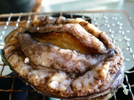 鱗晃 積丹本店的實拍圖