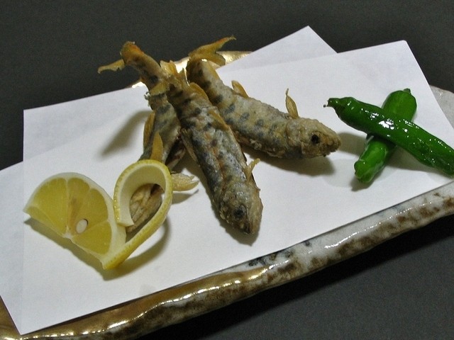 菜の介的实拍高清图
