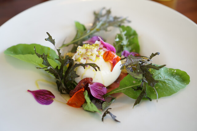 チェロステラート ウィンザー的实拍高清图