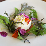 チェロステラート ウィンザー的实拍图