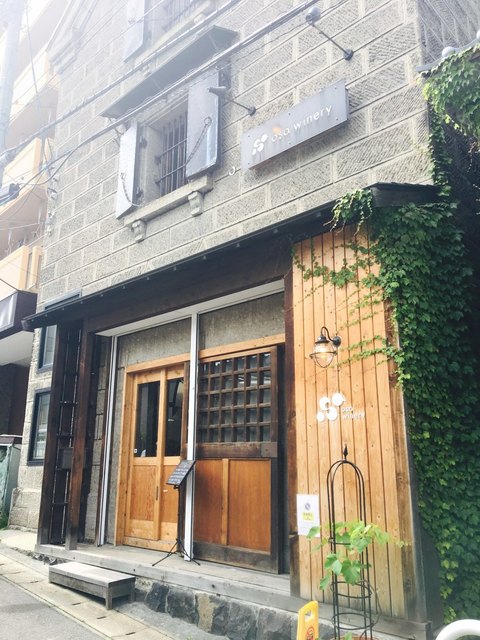 オサ ワイナリー的實拍高清圖