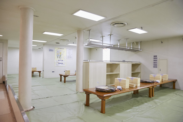 東京湾納涼船的實拍高清圖