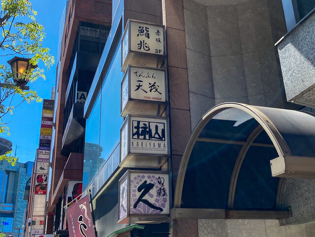 天茂的實拍高清圖