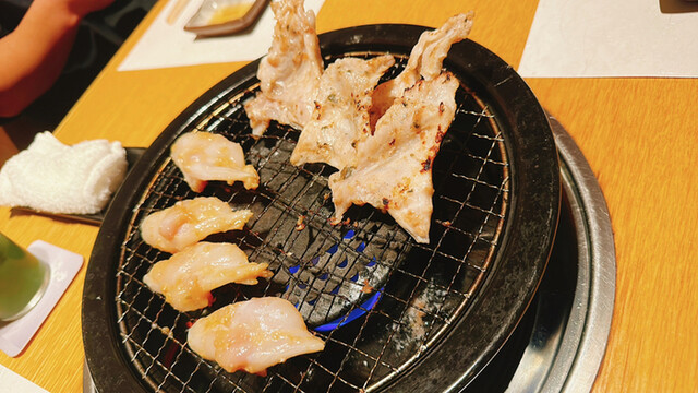 心・技・体 うるふ的实拍高清图