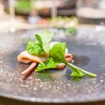 レストラン トヨ トーキョー的實拍圖