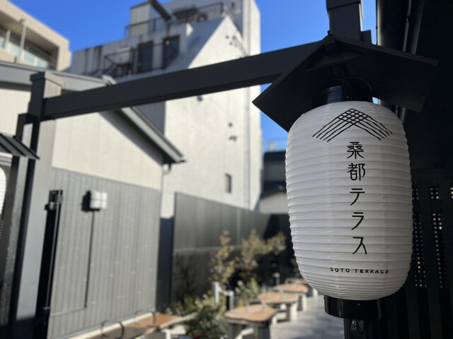 猫間的實拍高清圖