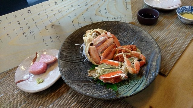 かとう的实拍高清图