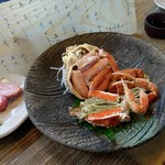 かとう的实拍图