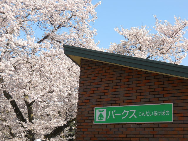 神代植物公園１号売店的實拍高清圖