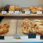 recommendations for LUPOSTO